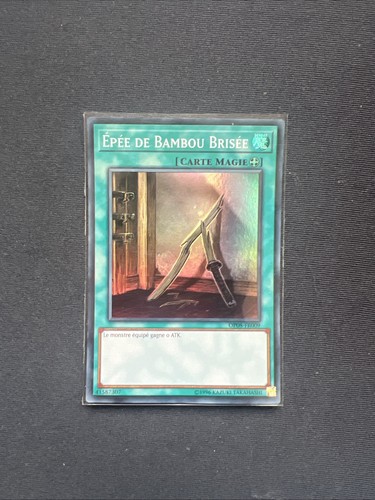 Epée bambou brisée op08 - epée,