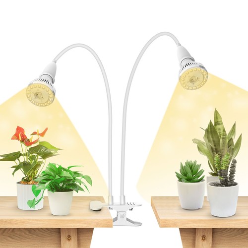 Têtes lampe pince - 2,