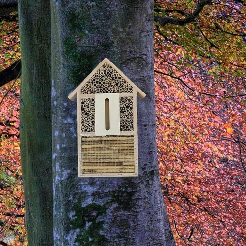 Abeille ruche bois - abeille,