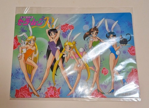 Pretty guardian sailor - guardian,
