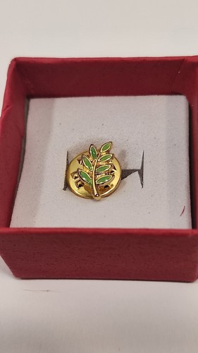 Pin branche acacia - branche, loge