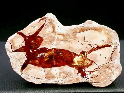 Agate polie güdesweiler - ,