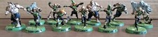 Pro-painted, Blood bowl, Necromantic Horror Team, The Wolfenburg Crypt