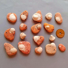 Petite brique de verre de