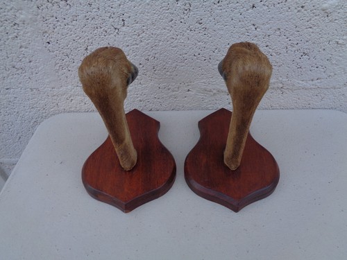 Lot râtelier porte fusil - 2, porte-fusil