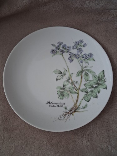 Assiette porcelaine mobil - porcelaine.,