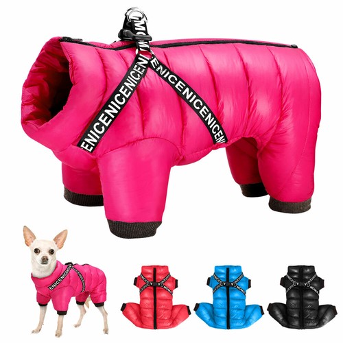 Manteau pour petit chien - chien, avec