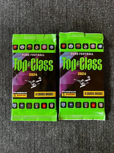 Panini lot pochettes - 2,