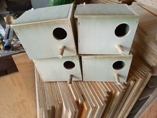 4 Nid Perruche Ondulee