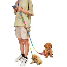 Laisse pour Chien pour