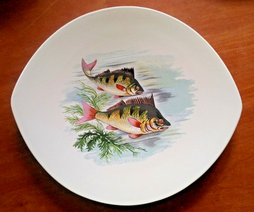 Assiettes poisson salins - 5,