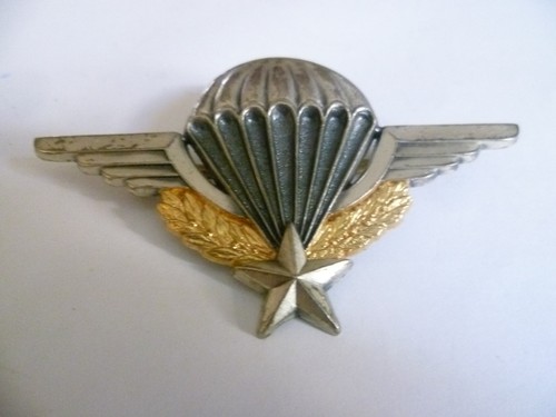 Insigne pucelle brevet - pucelle,