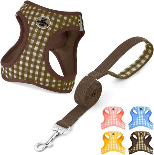Ensemble harnais pour chiens - ensemble,