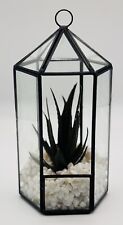 Tabletop Artificial Succulent Terrarium Clear Glass & Black Metal 4x4x8