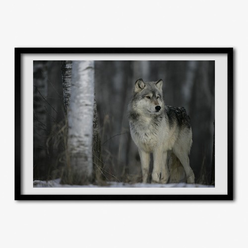 Tulup photo 70x50cm cadre - 70x50cm,