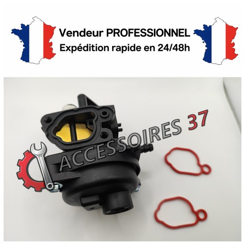 Carburateur briggs stratton - carburateur,