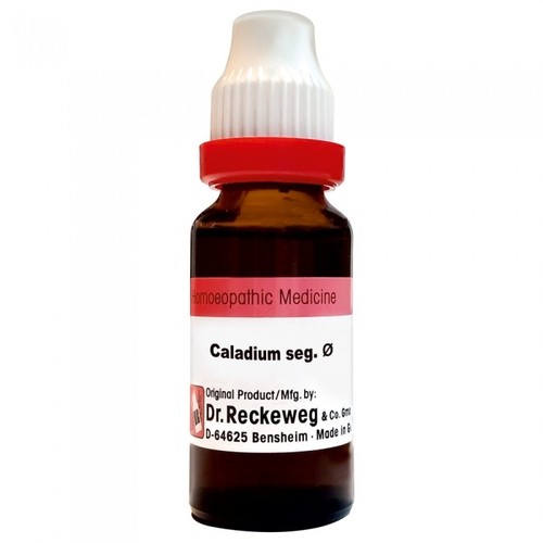 Reckeweg caladium seg - dr.,