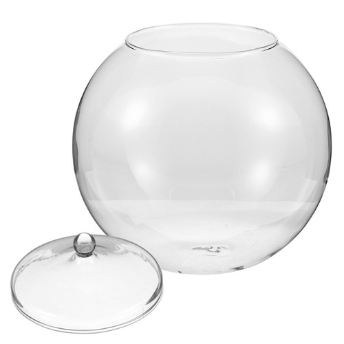 Bouteille paysage terrarium - bouteille,