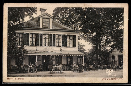 Carte postale forêt - carte,