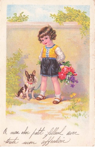 Fancy french bulldog - fancy,