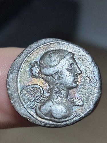244 octave denier neptune - #244~,