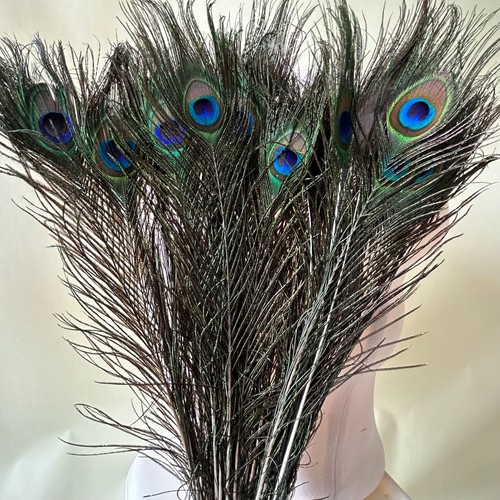 25pcs plumes paon libres - de,