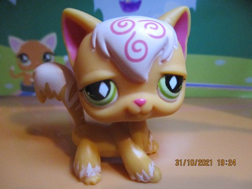 Petshop chat persan 511 - persan, n°511
