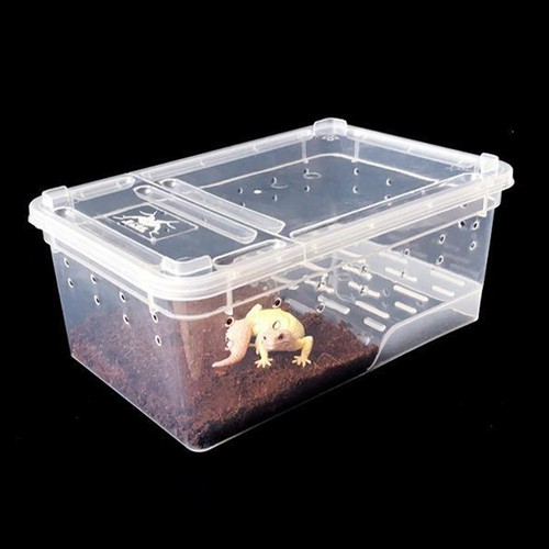 Aquarium tortue enclos - enclos, pour