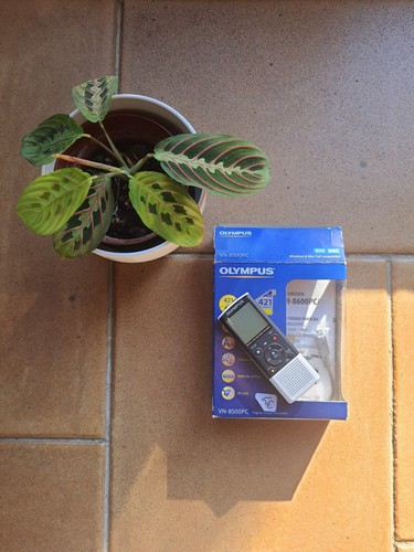 Dictaphone olympus 8500pc - dictaphone, vn-8500pc