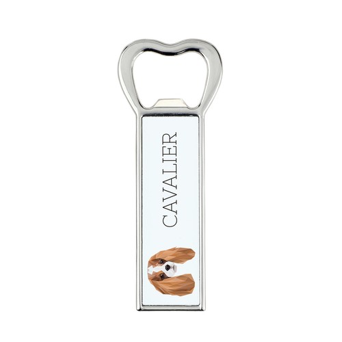 Cavalier king charles spaniel - cavalier,