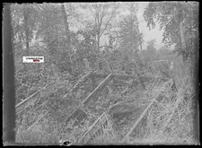 Barrier, nature, antique photo glass plate, black & white negative 6x9 cm