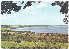 CPSM GF SUEDE - KIVIK - Utsikt