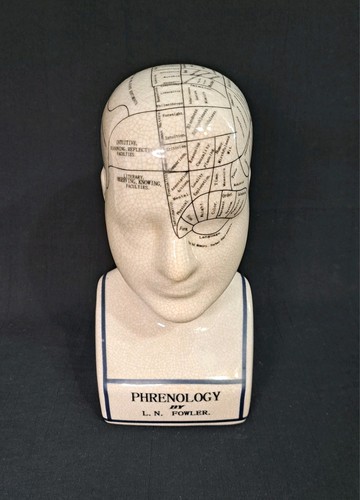 Phrenology head bust n - phrenology, by
