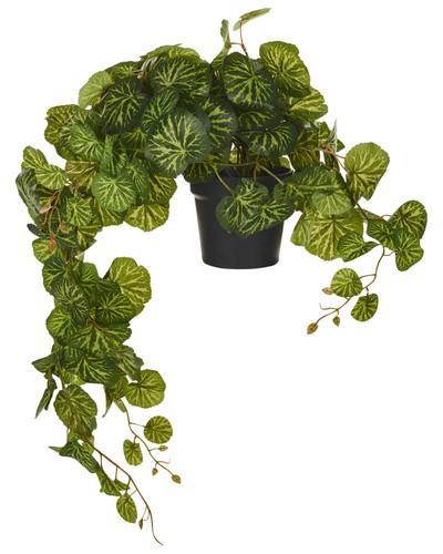 Plante artificielle suspendue - plante,