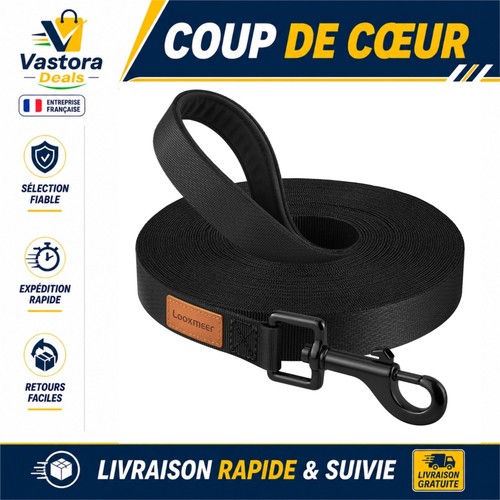 Longe pour chien laisse - chien,