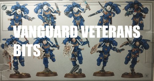 Warhammer 40k vanguard veteran - 40k,
