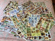 ARNAUD 1960 PEDAGOGICAL BOARDS lot of 135 boards various themes VF condition