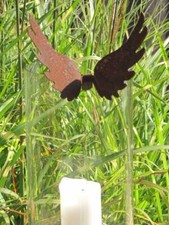 haute rouille noble ailes