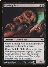 Rotting Rats x1 Conflux MTG Magic the Gathering Black Creature Card
