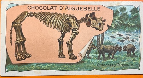 Chromo chocolat aiguebelle - chocolat, d’aiguebelle