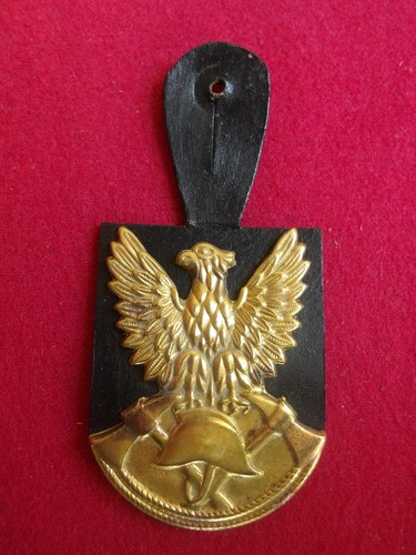 Insigne pompiers pucelle - insigne,