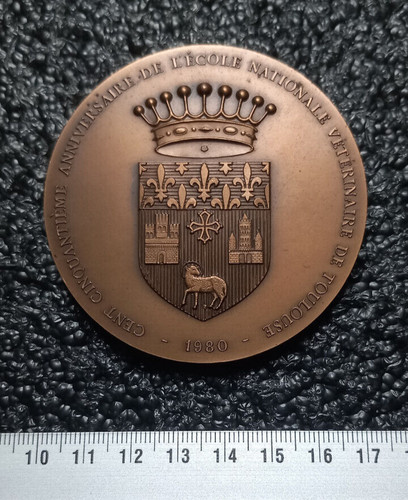 Médaille bronze école - médaille,