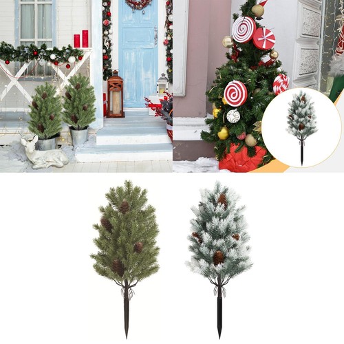 Branche sapin noël - sapin, de