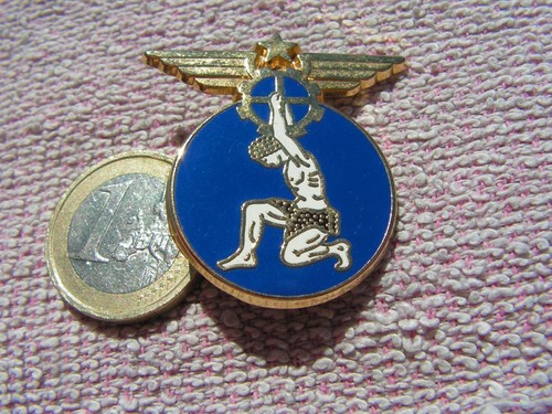 Aviation armee air insigne - aviation,