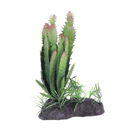 Terrarium tortue bol eau - terrarium,