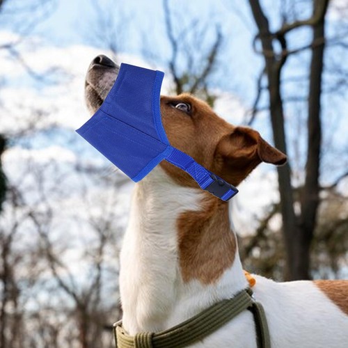 Muselière pour chien - muselière,