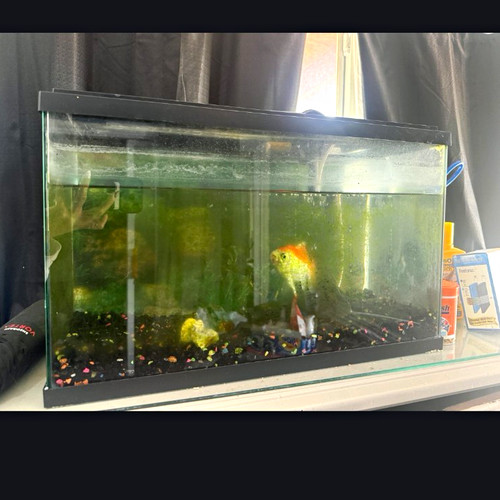 Aqua tech gallon glass - aqua-tech,