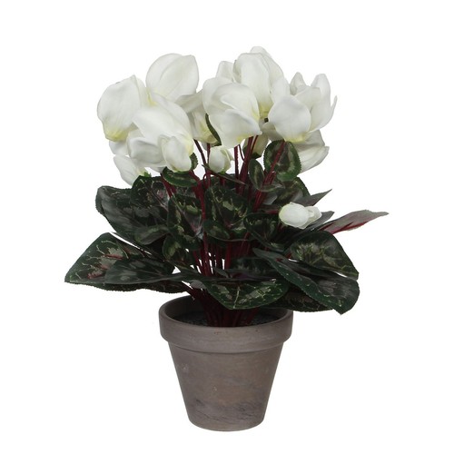 Mica decorations plante - mica,