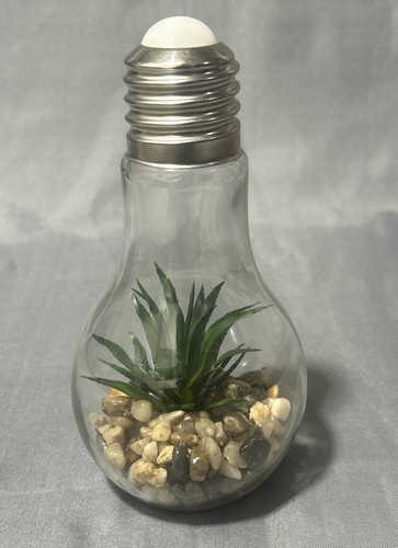 Aloe vera faux succulent - faux, glass