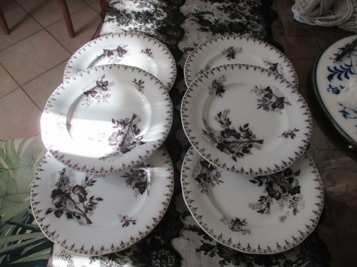 Lot anciennes assiettes - lot,
